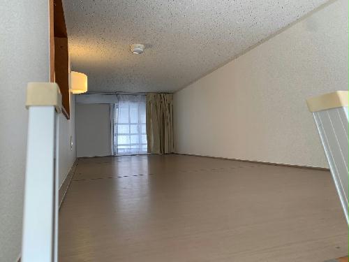 13/14 その他画像