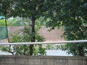 16/16 その他画像