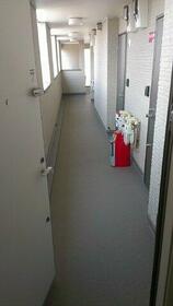 15/17 その他画像