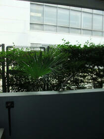 12/16 バルコニー