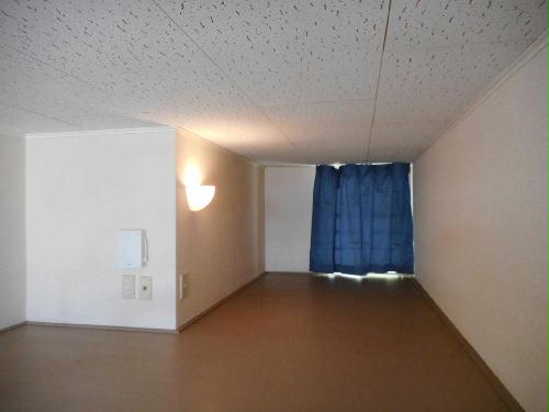 11/14 その他画像