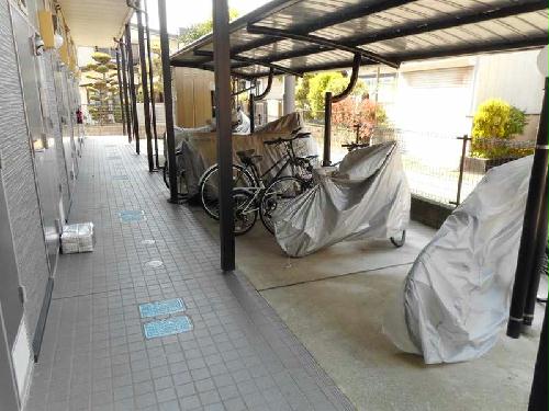 13/19 その他画像