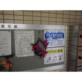 13/19 その他画像