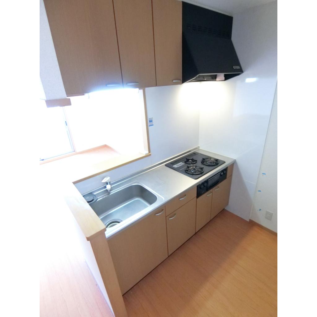 13/14 その他画像