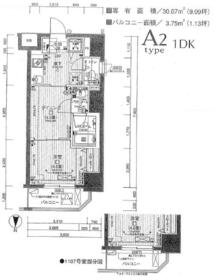 日神デュオステージ亀戸の間取り
