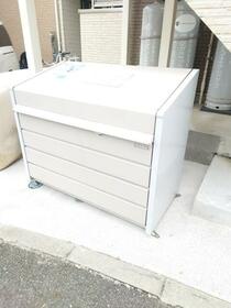 11/11 その他画像