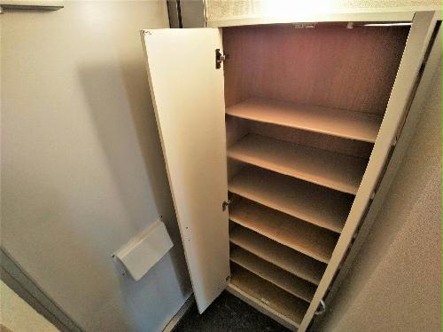 13/19 その他画像