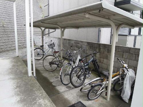 11/14 その他画像