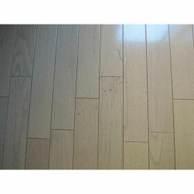 15/15 その他画像