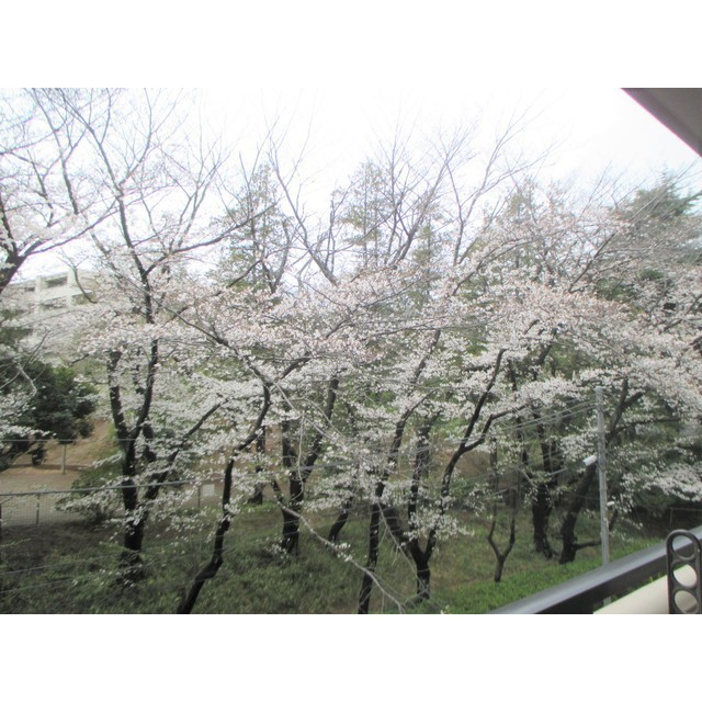 16/24 その他画像