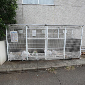 11/15 その他画像