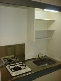 5/16 その他画像