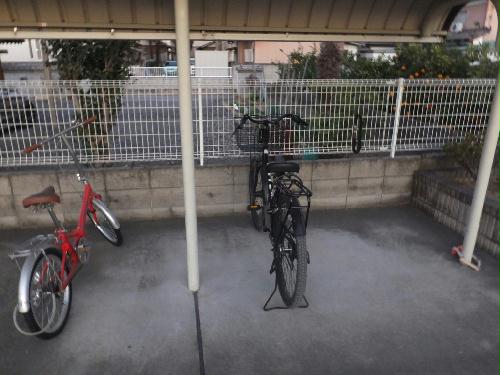 11/14 その他画像