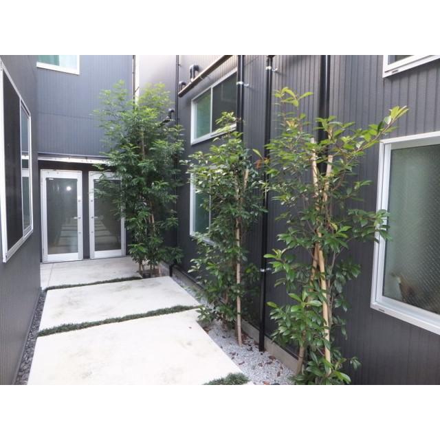 17/17 エントランス