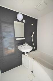 6/11 その他画像