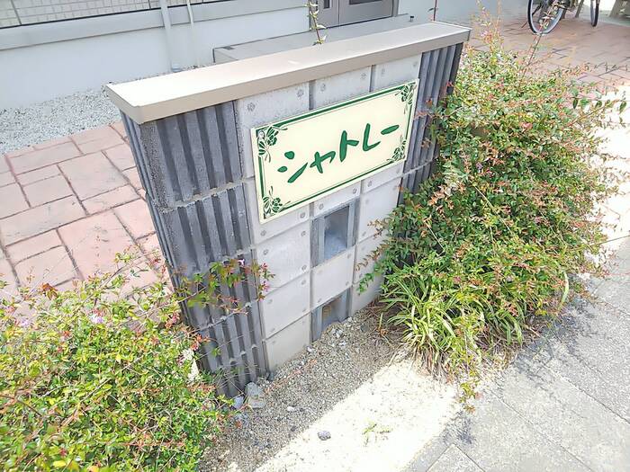 15/22 その他画像