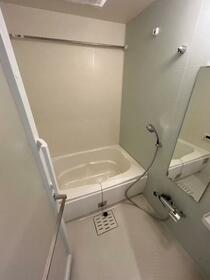 5/16 その他画像