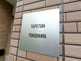 15/16 その他画像