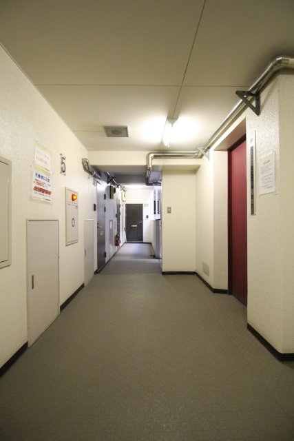 11/15 その他画像