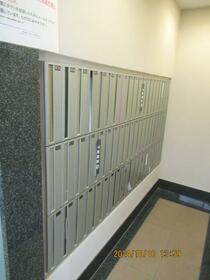 15/16 その他画像