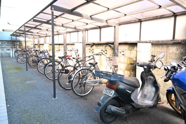 17/29 その他画像