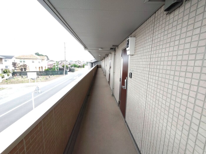 15/29 その他画像