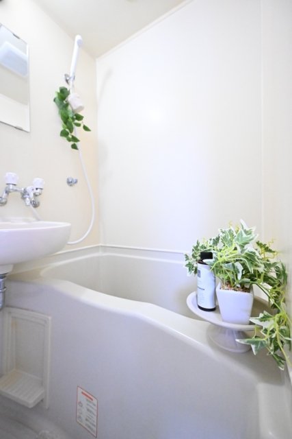 17/26 その他画像