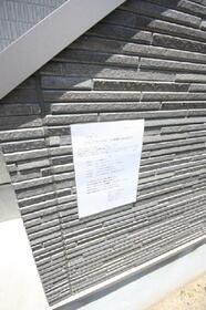 15/17 その他画像