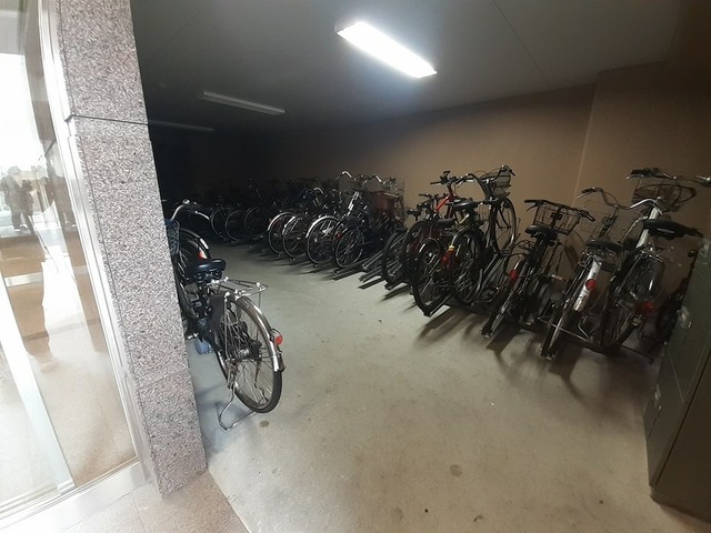 13/20 その他画像