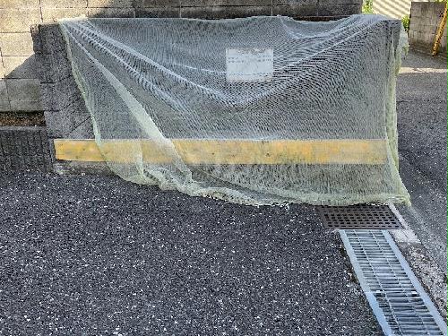 10/14 その他画像