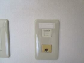 11/16 その他画像