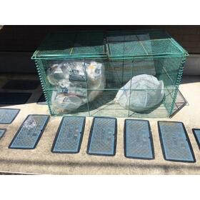 16/16 その他画像