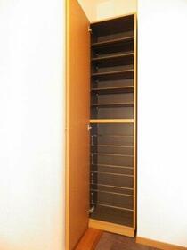 6/11 その他画像