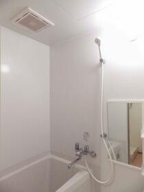 8/11 その他画像