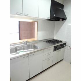 4/11 その他画像