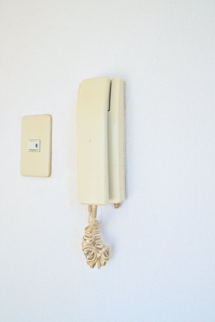 15/19 その他画像