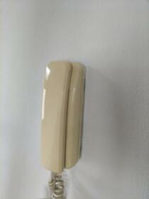 12/19 その他画像