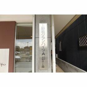 3/16 その他画像