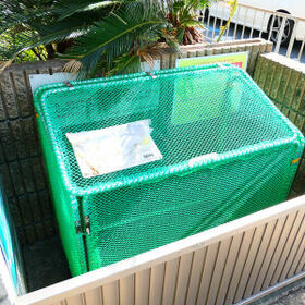 6/16 その他画像