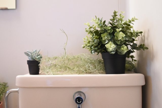 18/26 その他画像