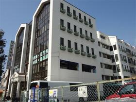 17/17 その他画像