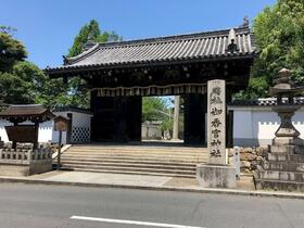 16/17 その他画像