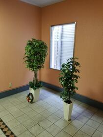 3/14 その他画像