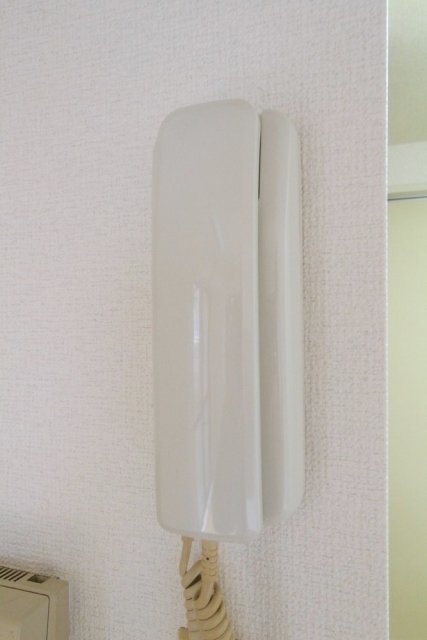 15/19 その他画像