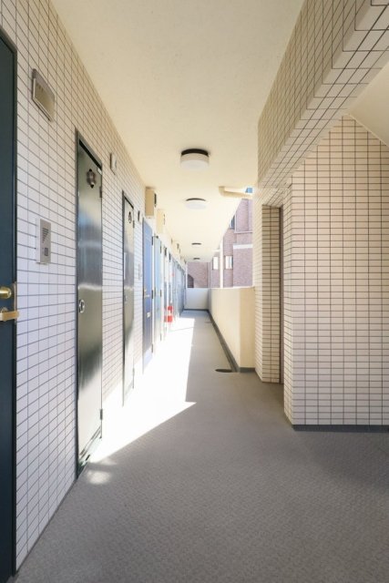 19/24 その他画像