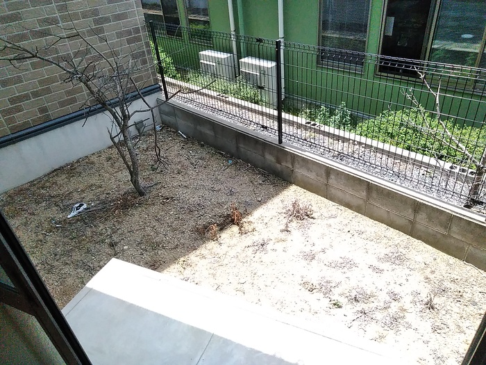 11/20 その他画像