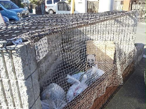 11/21 その他画像