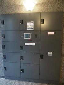 15/24 その他画像