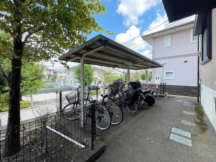 14/19 その他画像