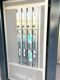 15/16 その他画像